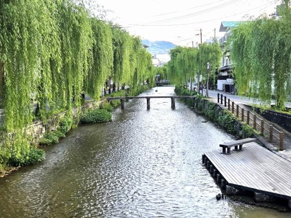 アミ二ティ白川(白川)