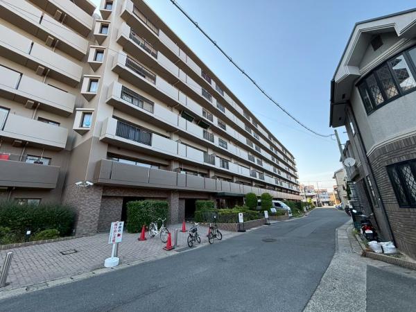 ディオフェルティ向日東