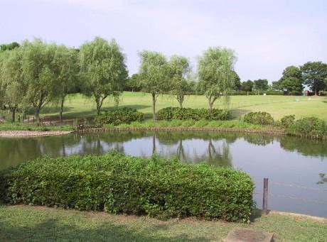 草加市柿木町の土地(そうか公園)