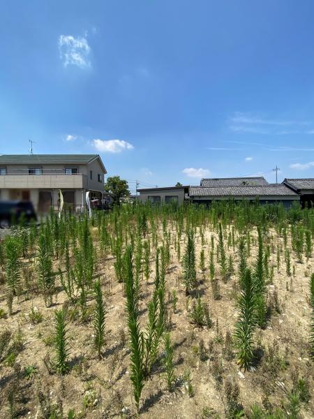豊田市広美町下之切の売土地
