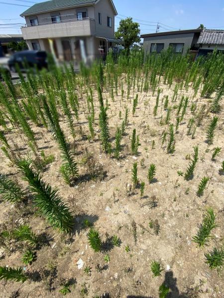 豊田市広美町下之切の売土地