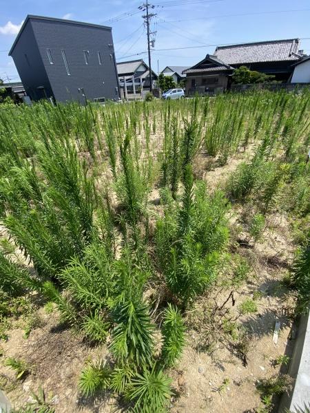 豊田市広美町下之切の売土地