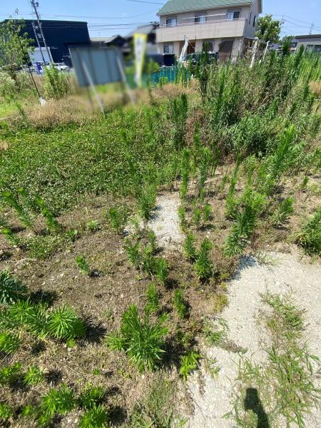 豊田市広美町下之切の土地
