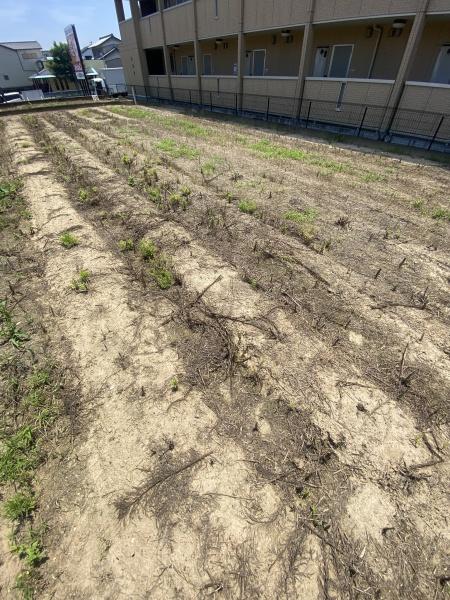 豊田市下林町２丁目の土地