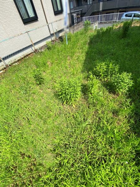 豊田市岩倉町平古の土地