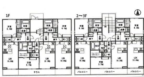 ミエル　ノール