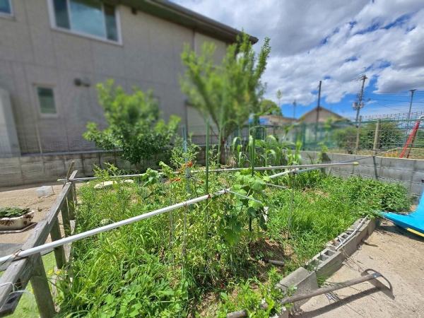 八尾市楽音寺５丁目の中古一戸建て