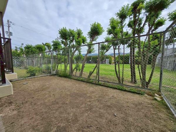 エクセレンス山本