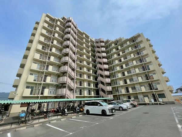 エクセレンス山本