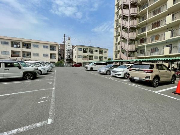 エクセレンス山本