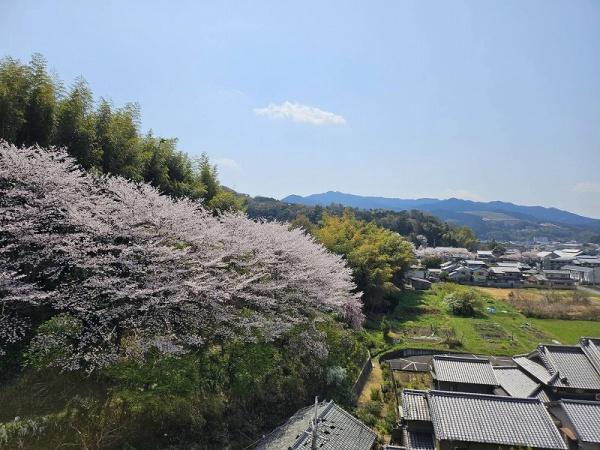 ローレルコート桜井南