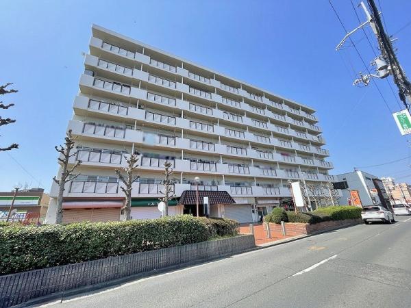 八尾志紀マンション