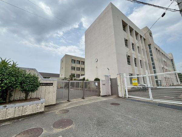 松原市岡２丁目の土地(松原市立第六中学校)