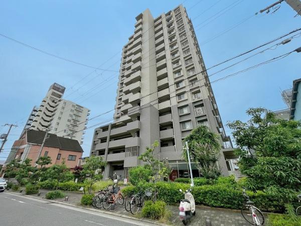 ネバーランド平野