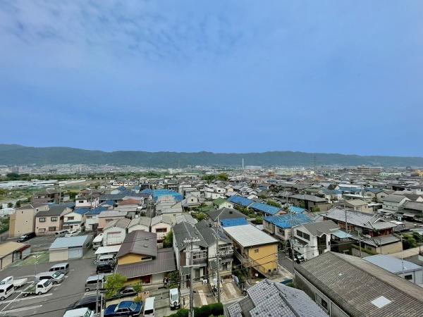 エクセレンス山本