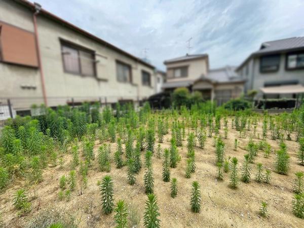 大阪市平野区長吉長原４丁目の土地