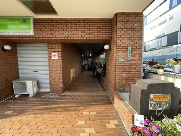 ドムール平野