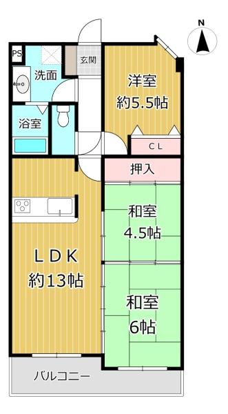 レックスシティ八尾志紀