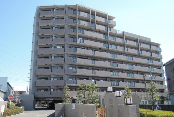 レックスシティ八尾志紀