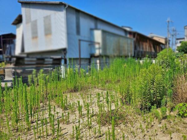 香芝市藤山２丁目の売土地