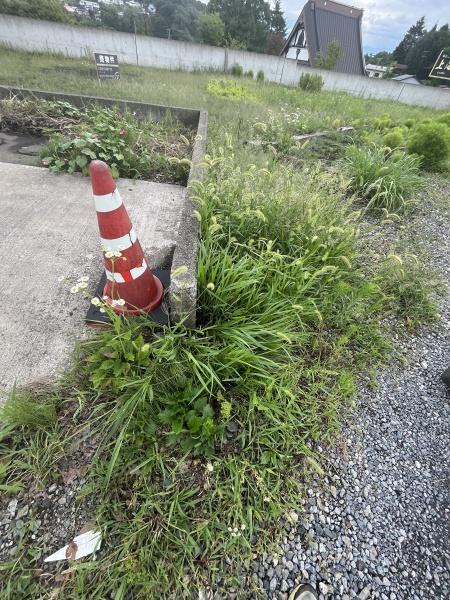 上水内郡信濃町大字古間の土地