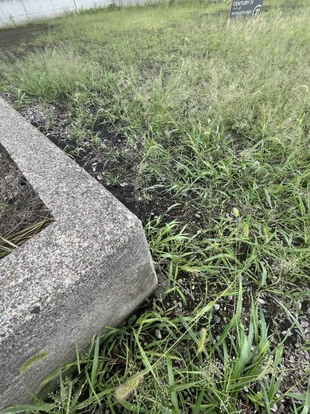 上水内郡信濃町大字古間の土地