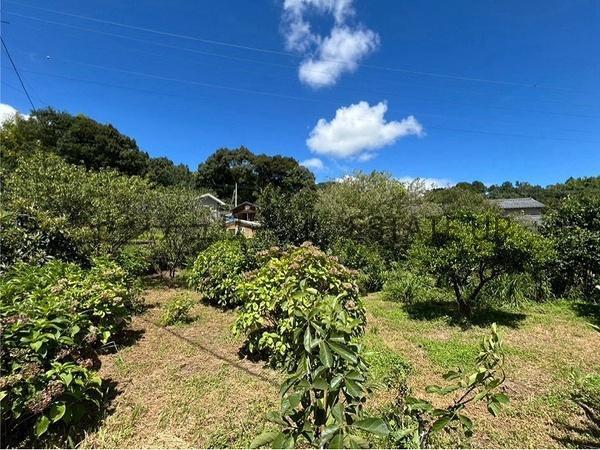 農地付きで自然と共に暮らす土地　皆与志町