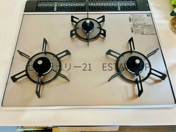 セレスティナ高麗　３０２号室