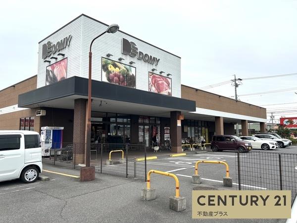 西尾市小焼野町南川の土地(ドミー丁田店)