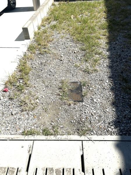 碧南市弥生町３丁目の土地