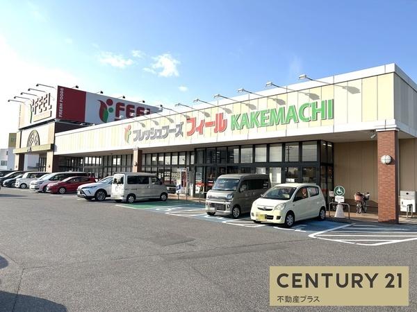 岡崎市中町１丁目の土地(フィールKAKEMACHI店)