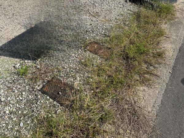 碧南市中山町3丁目の土地(その他現地)