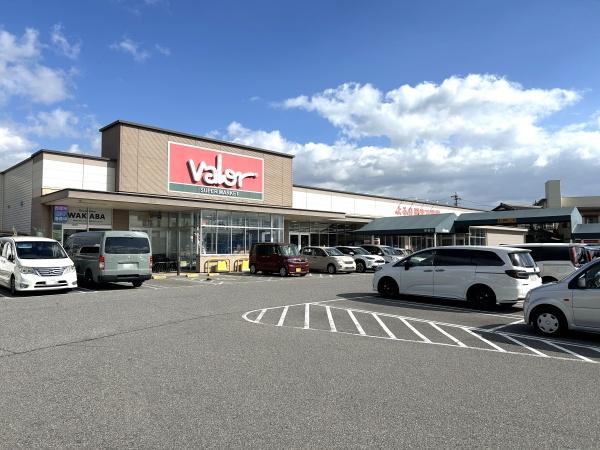 西尾市平坂町向山の土地(バロー平坂店)