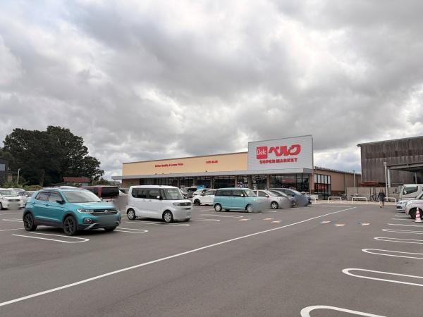 我孫子市新木野４丁目の新築一戸建(ベルク我孫子新木店)