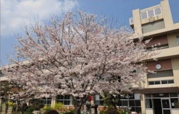 千葉市緑区土気町の土地(千葉市立土気小学校)