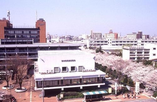葛飾区青戸５丁目の新築一戸建(葛飾区役所)