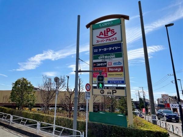八王子市川口町の土地(アルプス)