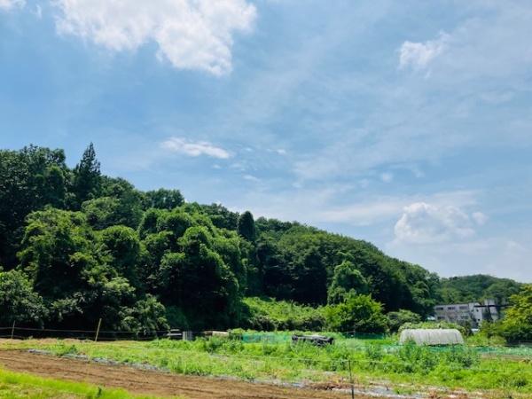 八王子市戸吹町の土地