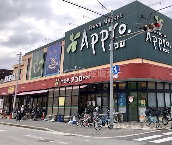 大阪市生野区巽中２丁目の土地(食品館アプロたつみ店)