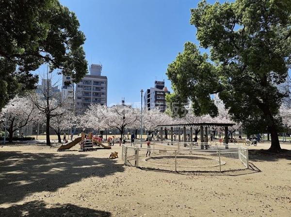 大阪市生野区小路２丁目の中古一戸建て(新今里公園)