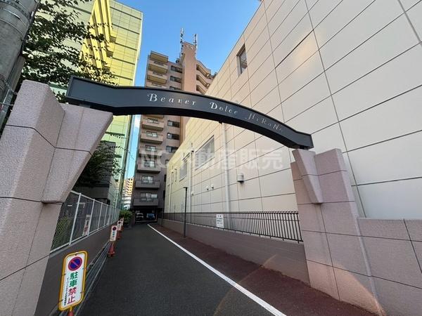 ビーバードルチェ平野