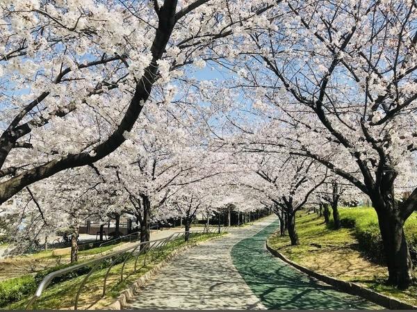 ユニハイム平野北(巽東緑地)