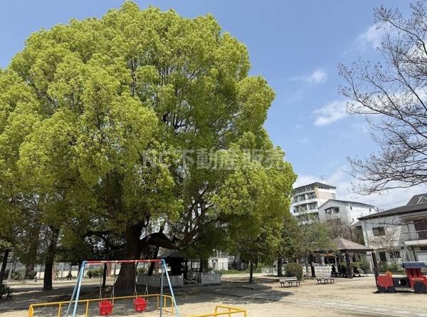 大阪市生野区鶴橋４丁目の中古一戸建て(桃谷公園)