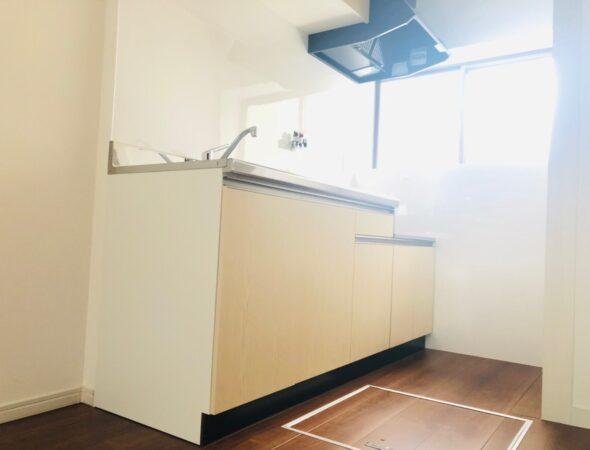 京都市右京区西京極徳大寺団子田町の中古テラスハウス