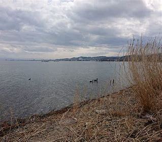 大津市木戸の土地(琵琶湖野離子川河口)