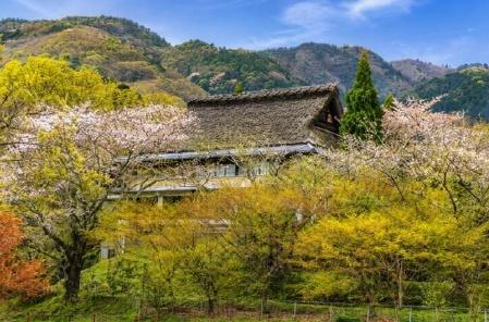 京都市西京区大原野石作町の中古一戸建