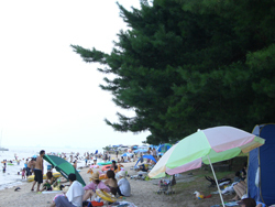 大津市北比良の土地(青柳浜水泳場)