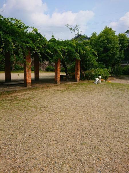 大津市国分２丁目の土地(大平公園)