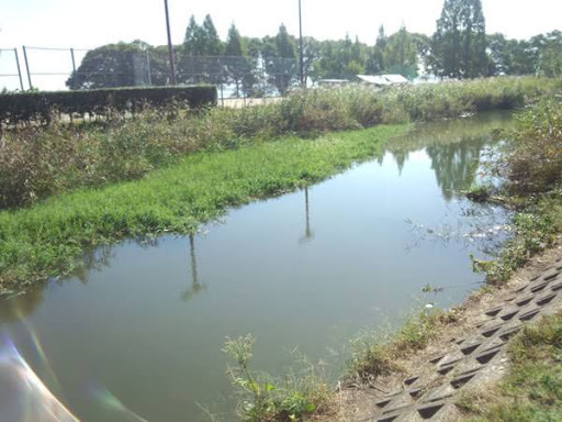大津市衣川３丁目の土地(天神川緑地)