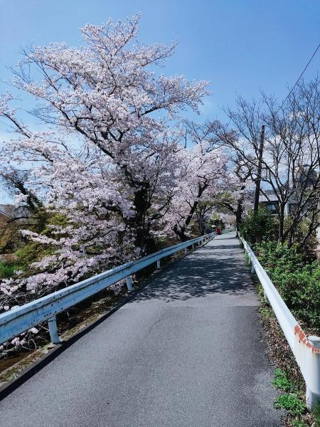 京都市西京区松室田中町の中古一戸建